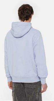 Джемпер Dickies MILLERSBURG HOODIE мужской - 2