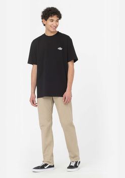 Штани Dickies KERMAN чоловічі - фото