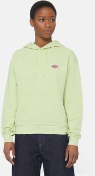 Джемпер Dickies MILLERSBURG HOODIE W - 2