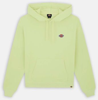 Джемпер Dickies MILLERSBURG HOODIE W - 3