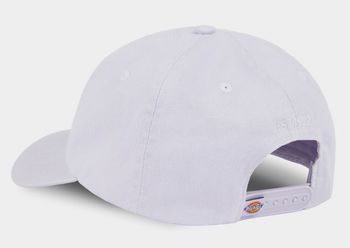 Кепка Dickies HARDWICK - 2