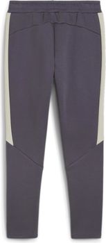 Брюки Puma EVOSTRIPE PANTS DK мужские - 2