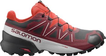 Кроссовки Salomon SPEEDCROSS 5 GTX мужские - 2
