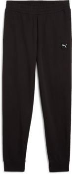 Брюки Puma ESS ELEVATED Sweatpants TR cl женские - фото