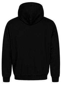 Джемпер BAVOVNA ESS FZ HOODIE FT мужской - 3