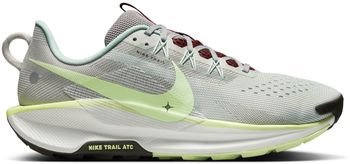 Кроссовки Nike Nike Pegasus Trail 5 мужские - фото