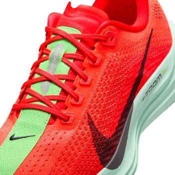 Кроссовки Nike Nike Pegasus Plus мужские - 10
