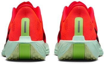 Кроссовки Nike Nike Pegasus Plus мужские - 6