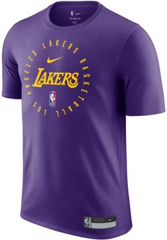 Футболка Nike LAL M NK rLGD PRTC SS TEE 24 чоловіча - фото