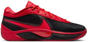 Кросівки Nike GIANNIS FREAK 6 чоловічі - 1