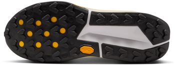 Кроссовки Nike Nike Zegama 2 мужские - 9