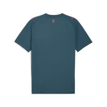 Футболка Puma FCSD Away Jersey Replica w/o Sponsor Gra чоловіча - 7
