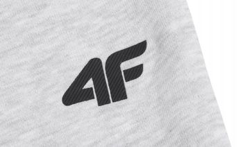 Брюки 4F TROUSERS CAS  M1673 мужские - 2