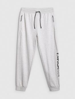 Брюки 4F TROUSERS CAS  M1674 мужские - 2