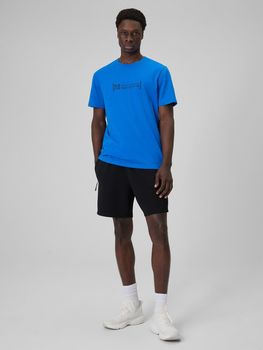 Шорти 4F SHORTS CAS  M728 чоловічі - 2