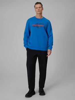 Джемпер 4F SWEATSHIRT  M2237 мужской - 6
