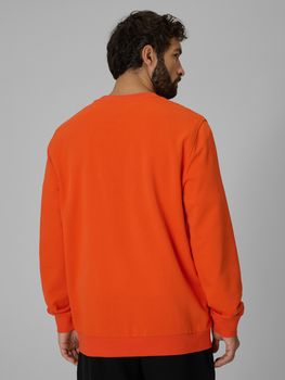 Джемпер 4F SWEATSHIRT  M2237 мужской - 2