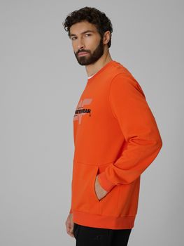 Джемпер 4F SWEATSHIRT  M2237 мужской - 3