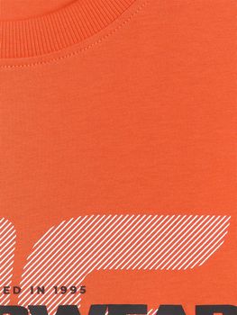 Футболка 4F TSHIRT  M2666 чоловіча - 2