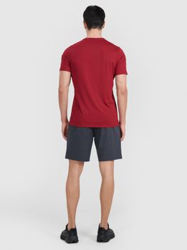 Шорты 4F SHORTS FNK M1310 мужские - 5