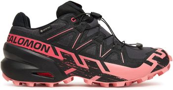 Кроссовки Salomon SPEEDCROSS 6 GTX W женские - фото