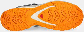 Кросівки Salomon XA PRO 3D V9 GTX чоловічі - 4