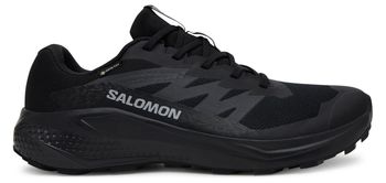 Кросівки Salomon ALPHAGLIDE GTX чоловічі - фото