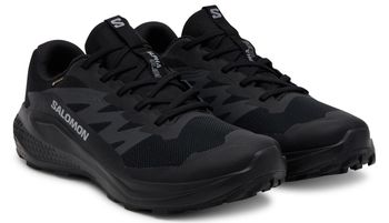 Кросівки Salomon ALPHAGLIDE GTX чоловічі - 2