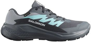 Кроссовки Salomon ALPHAGLIDE GTX W женские - 1