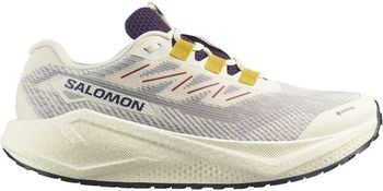 Кроссовки Salomon AERO BLAZE 3 GRVL GTX женские - фото