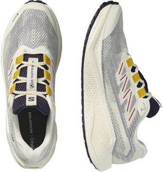 Кроссовки Salomon AERO BLAZE 3 GRVL GTX женские - 5