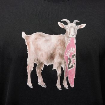 Футболка Jordan M J NC GOAT SS CREW мужская - 5