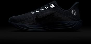 Кроссовки Nike Nike Pegasus Plus мужские - 14