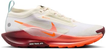 Кроссовки Nike Nike Pegasus Trail 5 GORE-TEX женские - 1