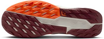 Кроссовки Nike Nike Pegasus Trail 5 мужские - 9