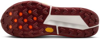 Кросівки Nike Nike Zegama 2 чоловічі - 9