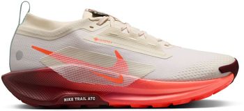 Кроссовки Nike Nike Pegasus Trail 5 GORE-TEX мужские - 1