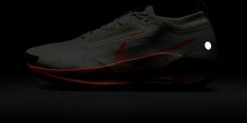 Кроссовки Nike Nike Pegasus Trail 5 GORE-TEX мужские - 11