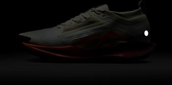 Кроссовки Nike Nike Pegasus Trail 5 GORE-TEX мужские - 12