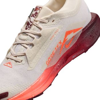 Кроссовки Nike Nike Pegasus Trail 5 GORE-TEX мужские - 15