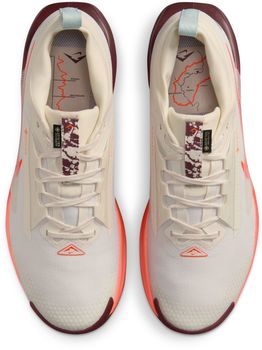 Кроссовки Nike Nike Pegasus Trail 5 GORE-TEX мужские - 7