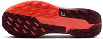 Кроссовки Nike Nike Pegasus Trail 5 GORE-TEX мужские - 9