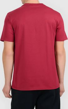 Футболка 4F TSHIRT  M3578 мужская - 2