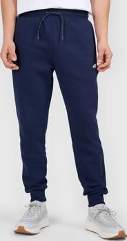 Штани 4F TROUSERS CAS  M1860 чоловічі - 2