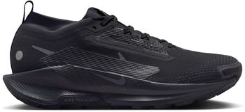 Кроссовки Nike Pegasus Trail 5 GORE-TEX мужские - 1