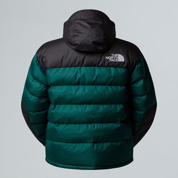 Куртка THE NORTH FACE LIMBARA жіноча - 9