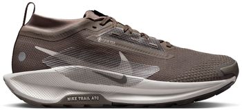 Кросівки Nike Nike Pegasus Trail 5 GORE-TEX чоловічі - фото