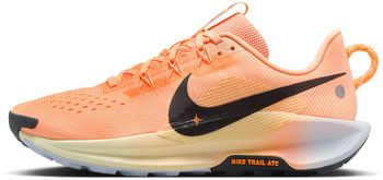 Кроссовки Nike Nike Pegasus Trail 5 женские - 3