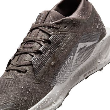 Кросівки Nike Nike Pegasus Trail 5 GORE-TEX чоловічі - 12
