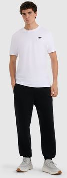 Футболка 4F TSHIRT  M3250 чоловіча - 2
